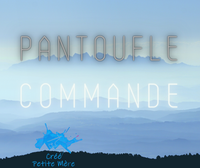 Pantoufle 11/12 Sur Commande